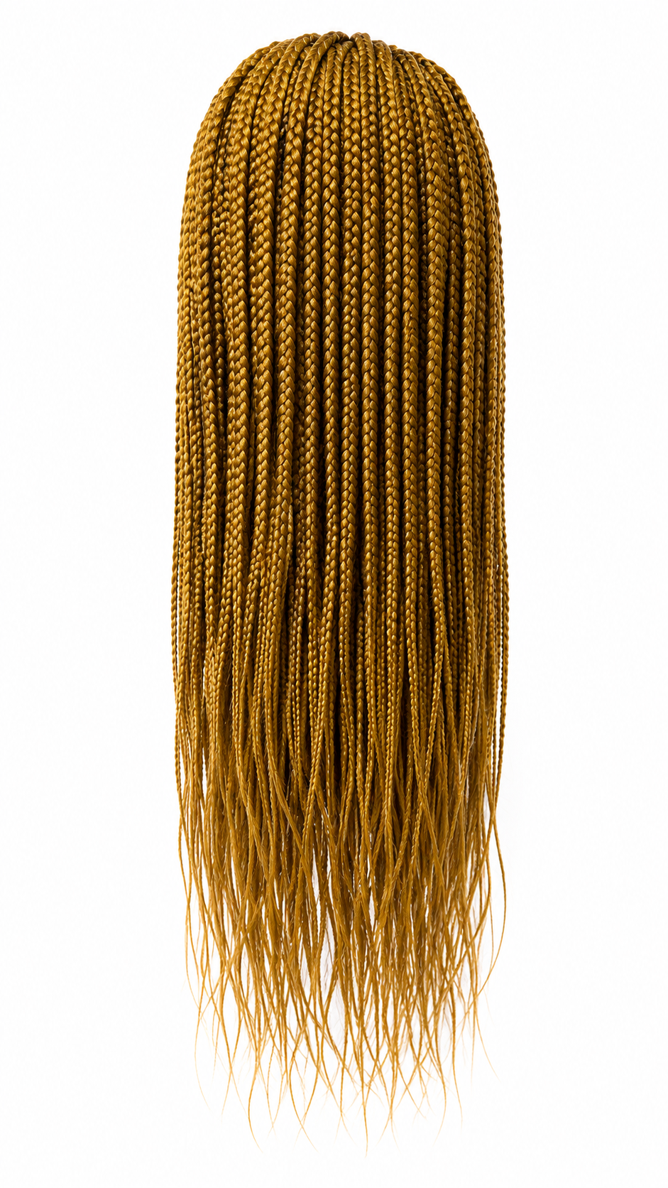 Angelica